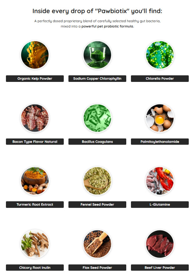 Would you like a version of this optimized for email newsletters or a downloadable PDF guide for your audience?